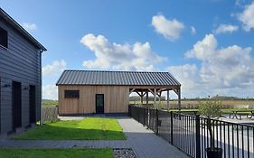 Bramendijk